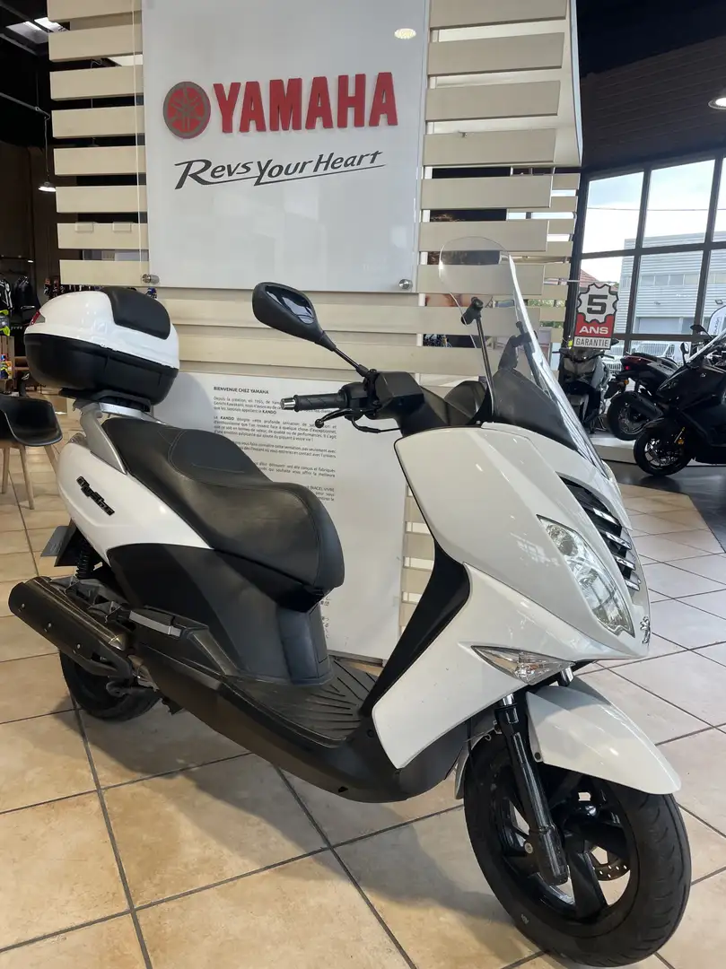 Peugeot Citystar Wit - 1