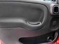 Fiat Panda CITY CROSS 1.0 FireFly S&S Hybrid Rood - thumbnail 29