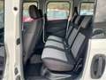 Fiat Doblo Doblo Maxi 1.6 mjt 105cv N1 AUTOCARRO 5 POSTI Bianco - thumbnail 8