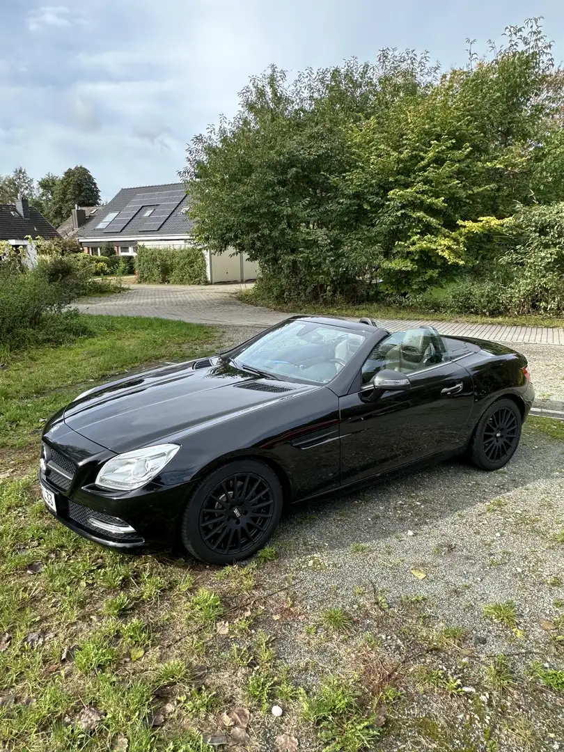 Mercedes-Benz SLK 250 CDI (BlueEFFICIENCY) 7G-TRONIC - 1