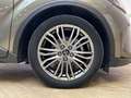 Toyota C-HR 2.0h Lounge e-cvt Bronce - thumbnail 17