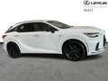 Lexus RX 500h F-SPORT Weiß - thumbnail 26