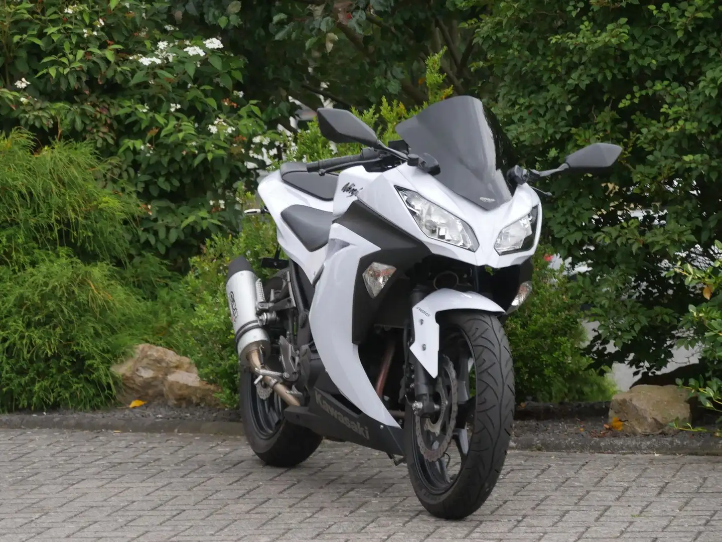 Kawasaki Ninja 300 ABS Blanc - 2
