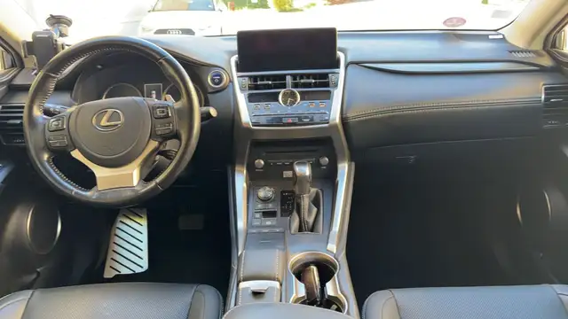 Lexus NX view 11