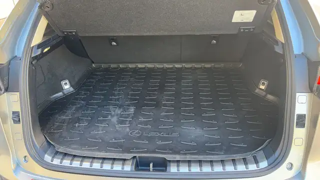 Lexus NX view 14