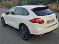 Porsche Cayenne Cayenne 3.0 V6 tdi tiptronic Bianco - thumbnail 5