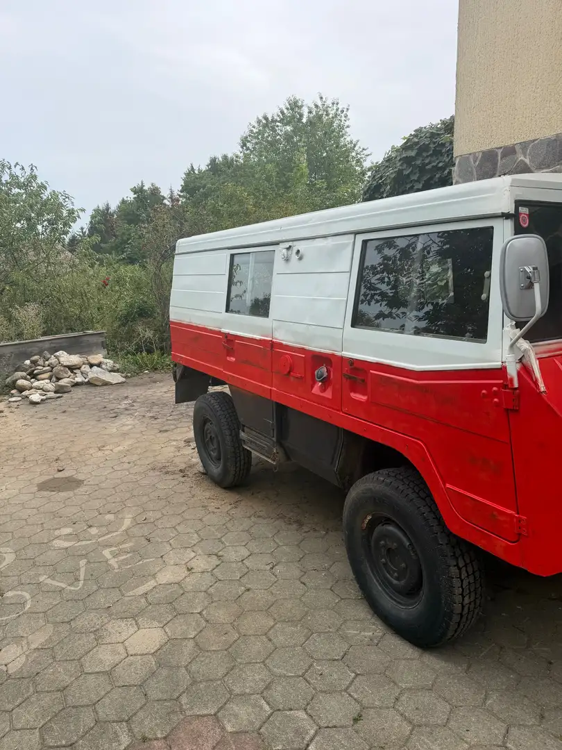 Puch Pinzgauer 710K 4x4 Weiß - 2