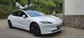Tesla Model 3 Model 3 RWD Hinterradantrieb Weiß - thumbnail 6
