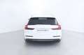 Volvo V60 D4 Geartronic Inscription Full LED/Cerchi 19'' Blanc - thumbnail 5