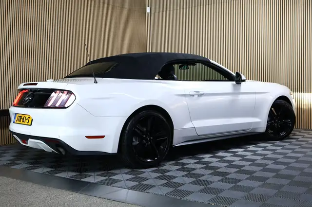 Ford Mustang view 5