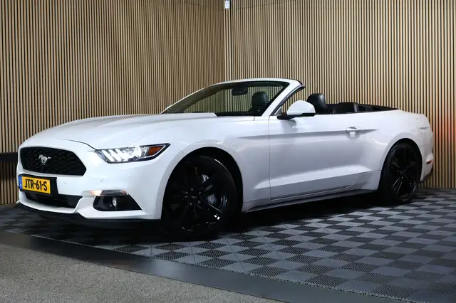 Ford Mustang view 8