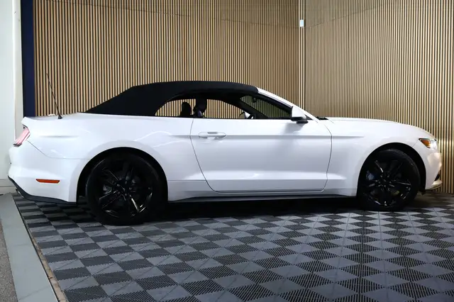 Ford Mustang view 6