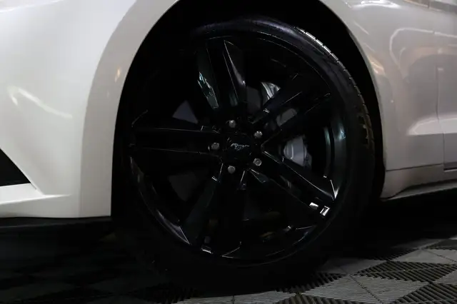Ford Mustang view 4