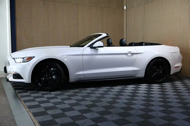 Ford Mustang view 9