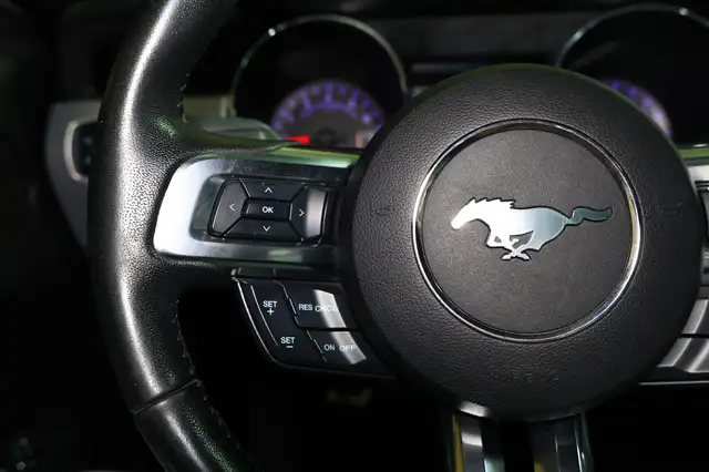 Ford Mustang view 15
