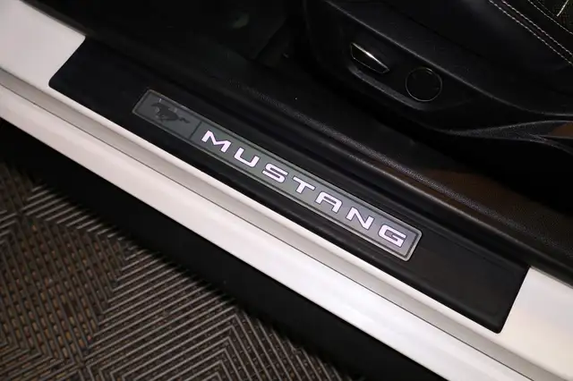 Ford Mustang view 12