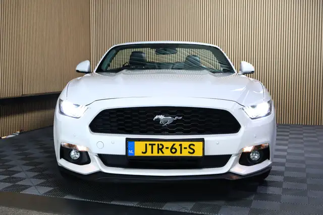 Ford Mustang view 7