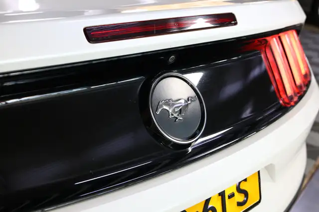 Ford Mustang view 10