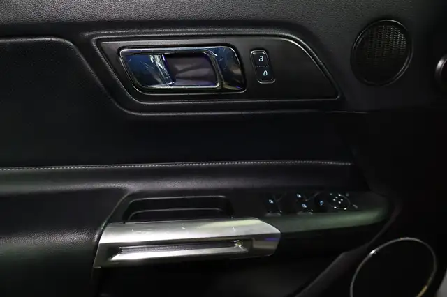Ford Mustang view 11