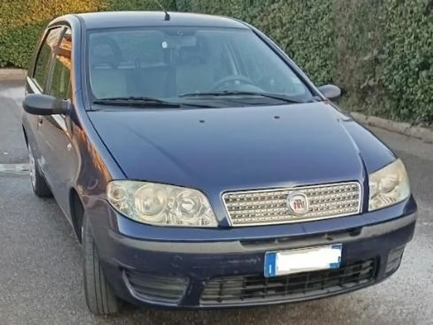 Fiat Punto Punto 5p 1.2 Classic - 3 Serie Синій - 2