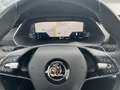 Skoda Octavia Combi 2,0 TDI RS DSG Schwarz - thumbnail 30
