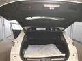 DS Automobiles Sonstige DS 7 177cv diesel Mod.Opera - thumbnail 9