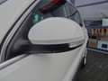 Volkswagen Tiguan NL-auto | ACC | LMV | Open dak | Cruise | Nette au Blanco - thumbnail 12