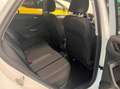 Volkswagen T-Roc 1.0 tsi Edition Plus 115cv - thumbnail 12