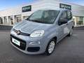 Fiat Panda 1.0 FireFly 70cv S&S Hybrid Grigio - thumbnail 1