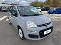 Fiat Panda 1.0 FireFly 70cv S&S Hybrid Grigio - thumbnail 5