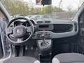 Fiat Panda 1.0 FireFly 70cv S&S Hybrid Grigio - thumbnail 8