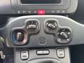 Fiat Panda 1.0 FireFly 70cv S&S Hybrid Grigio - thumbnail 14