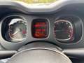 Fiat Panda 1.0 FireFly 70cv S&S Hybrid Grigio - thumbnail 12