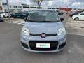 Fiat Panda 1.0 FireFly 70cv S&S Hybrid Grigio - thumbnail 6