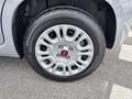 Fiat Panda 1.0 FireFly 70cv S&S Hybrid Grigio - thumbnail 7