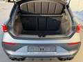 CUPRA Leon VZ 2.0 TSI 300 PS DSG KAMERA/KESSY/ACC Grau - thumbnail 10