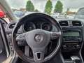 Volkswagen Golf Variant Golf Variant 1.6 TDI DPF BlueMo/Parktronic*Temp* Silber - thumbnail 18