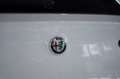 Alfa Romeo Stelvio B-Tech Q4 *2.H *20 *ACC *Sport-Paket Weiß - thumbnail 15