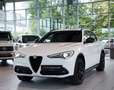 Alfa Romeo Stelvio B-Tech Q4 *2.H *20 *ACC *Sport-Paket Weiß - thumbnail 5