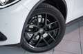 Alfa Romeo Stelvio B-Tech Q4 *2.H *20 *ACC *Sport-Paket Weiß - thumbnail 3