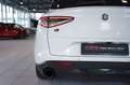 Alfa Romeo Stelvio B-Tech Q4 *2.H *20 *ACC *Sport-Paket Weiß - thumbnail 17