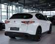 Alfa Romeo Stelvio B-Tech Q4 *2.H *20 *ACC *Sport-Paket Weiß - thumbnail 9