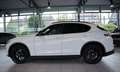 Alfa Romeo Stelvio B-Tech Q4 *2.H *20 *ACC *Sport-Paket Weiß - thumbnail 12
