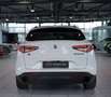 Alfa Romeo Stelvio B-Tech Q4 *2.H *20 *ACC *Sport-Paket Weiß - thumbnail 10