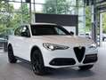 Alfa Romeo Stelvio B-Tech Q4 *2.H *20 *ACC *Sport-Paket Weiß - thumbnail 6