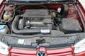 Volkswagen Golf IV Lim. Comfortline 1.4*Klimaaut*SR+LMF*WR* Rosso - thumbnail 10
