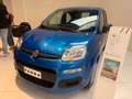 Fiat Panda 1.0 firefly hybrid s&s KM ZERO Blau - thumbnail 1