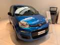 Fiat Panda 1.0 firefly hybrid s&s KM ZERO Blau - thumbnail 2