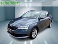 Skoda Fabia Combi 1.0 TSI Ambition Klima AHK Tempomat Grau - thumbnail 1