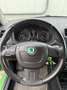 Skoda Fabia Sport Grün - thumbnail 17